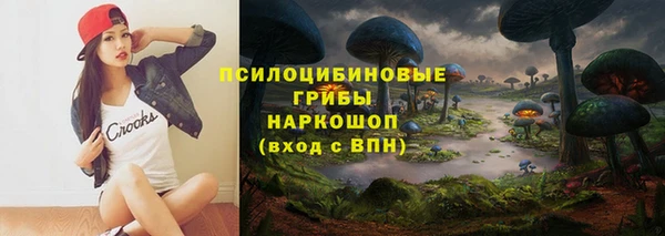PSILOCYBIN Горняк