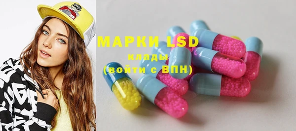 PSILOCYBIN Горняк