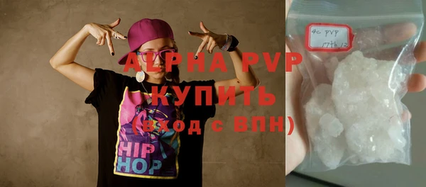 PSILOCYBIN Горняк