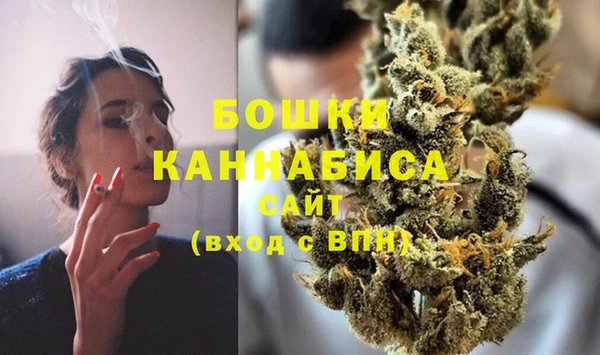 PSILOCYBIN Горняк
