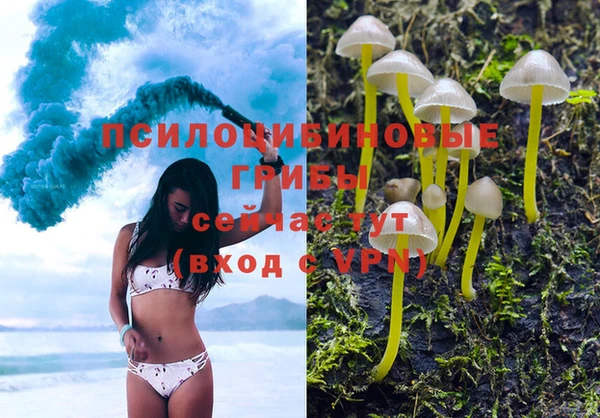 трава Горнозаводск