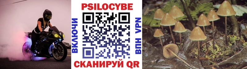 сколько стоит  Долинск  ссылка на мегу как зайти  Галлюциногенные грибы GOLDEN TEACHER 